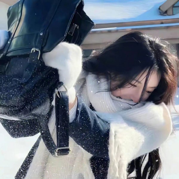 翠湖艳尸案