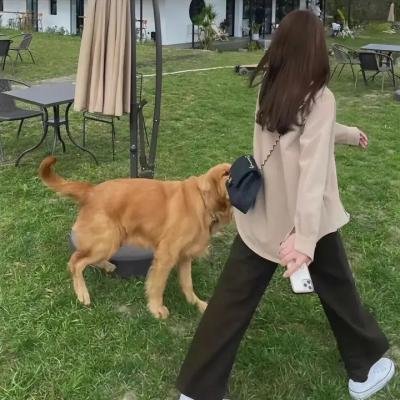 新封神姜子牙